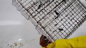 Многие и не ЗНАЮТ этот трюк для ОЧИСТКИ решетки для БАРБЕКЮ