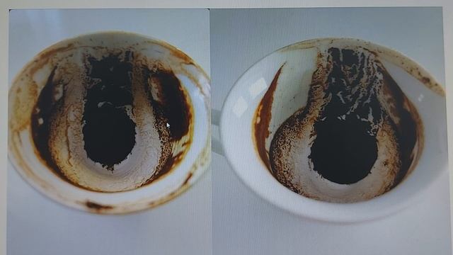 гадание на кофе. как сделать выбор партнера, часть 1 смотреть онлайн