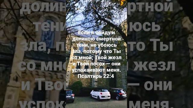 Если я пойду и долиною смертной тени, не убоюсь зла, потому что Ты со мной! смотреть онлайн