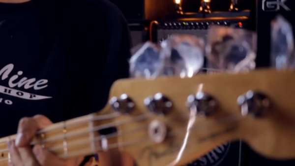 Fender Precision Bass Player VS Standard, COSA CAMBIA?!