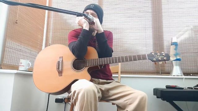 Chromatic Harmonica With Looped Guitar //Hohner 270 Deluxe смотреть онлайн
