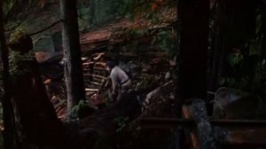 Золотая жила.     1982 год