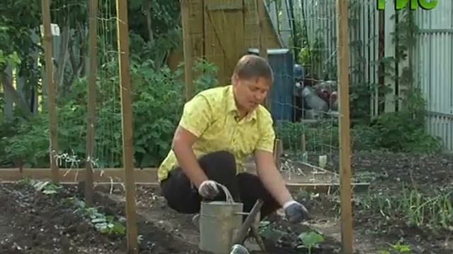 Дачная жизнь №44 от 28.05.2013 смотреть онлайн