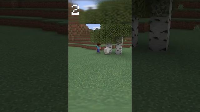 5 фактов о козле в Майнкрафт ? | WICSUR #shorts смотреть онлайн