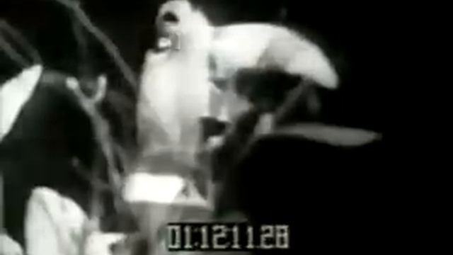 TRASHMEN - Surfin' Bird (Птица-синица) (1963)