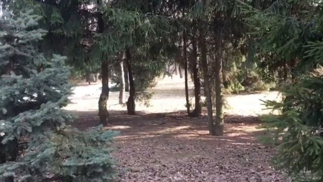 Она редкая гостья в наших домах. Андрей Ткачев смотреть онлайн