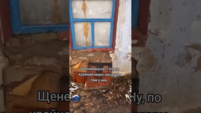 Лама захватила чей то дом на Украине смотреть онлайн