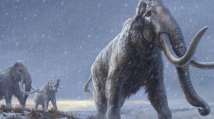 Мамонт🦣🦣Звуки и изображения мамонта