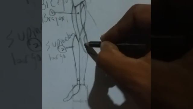 Dibujo del brazo 2 - Sketch of the arm. смотреть онлайн