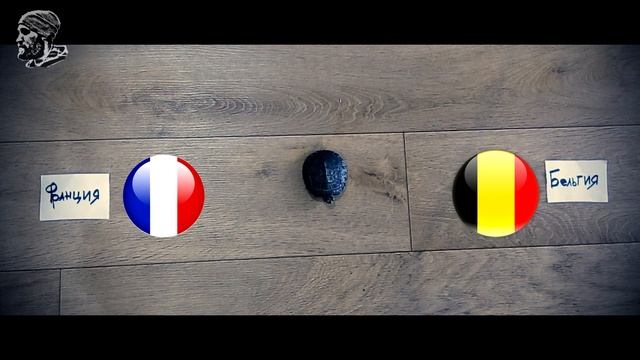 ФУТБОЛ. черепаха Пушок предсказал исход матча Франция-Бельгия 10.07.2018 г. смотреть онлайн