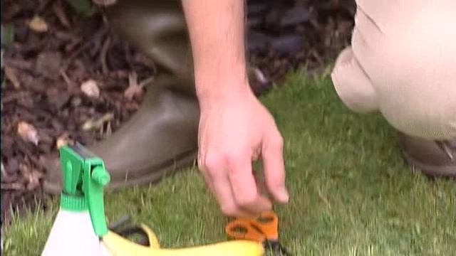 ПОЗНАВАТЕЛЬНЫЙ РЕТРО КАНАЛ