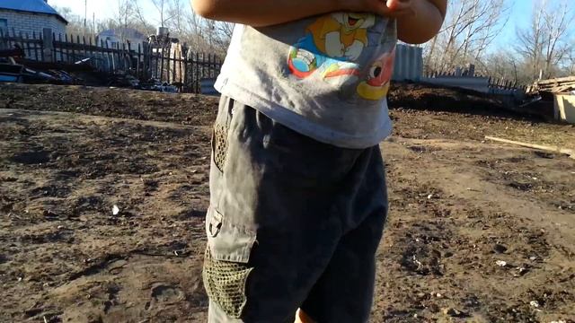 Томпак боры смотреть онлайн
