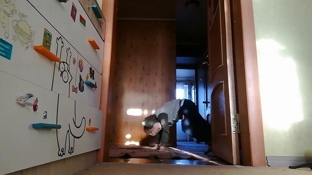 все новые трюки с брейк-данса выученные смотреть онлайн