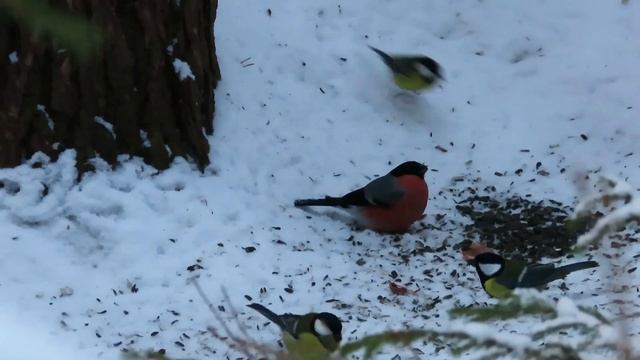 №3051 05. 02. 2023 Время завтракать смотреть онлайн