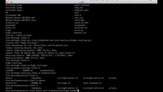 deploy bigdl as a docker container or virtual machine смотреть онлайн