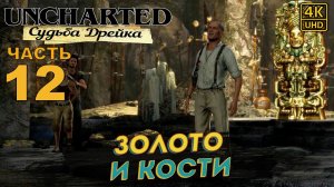 ПРОХОЖДЕНИЕ UNCHARTED: СУДЬБА ДРЕЙКА НА РУССКОМ на PS4PRO в [4K] ➤ Часть 12 ✦ЗОЛОТО И КОСТИ✦