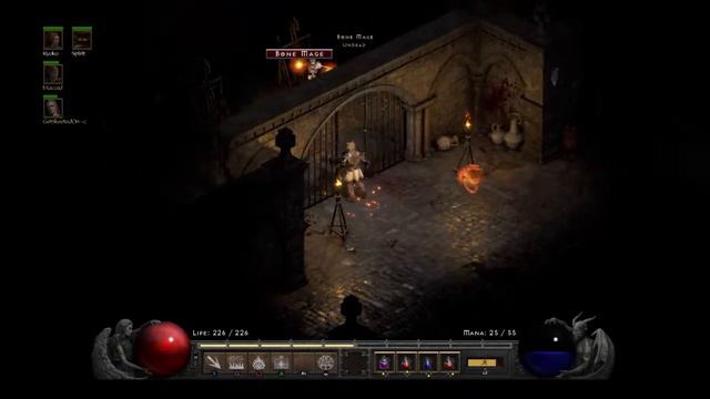Diablo 2 Resurrected - Flower Dad Chitch смотреть онлайн