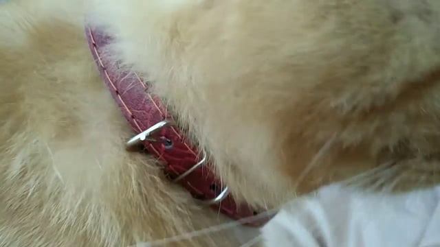 Vlog ?: Неделя Влогов ☀️день 5 !/ Это ужас !!!?/ Опять помыли ? ! / #18 июня ? смотреть онлайн