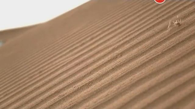 Биомимикрия. Искусство движения (часть 1)