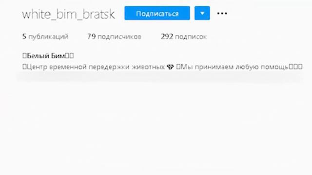 Зоозащитники Братска забили тревогу смотреть онлайн