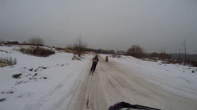 Скиоринг тренировка с Юрием Щетининым на трассе в Курьяново 09 12 17 смотреть онлайн