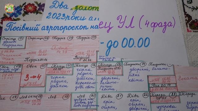 Два "золотых дня" для посева семян чёрной редьки, дайкона в июле 2023 года смотреть онлайн