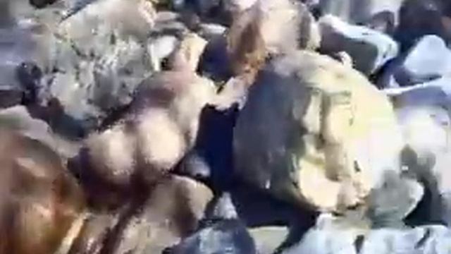 Море и камни смотреть онлайн