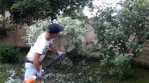Зонт из дерна Элегантиссима