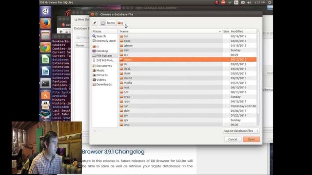 SQlite: Recovering Passwords from Google Chrome смотреть онлайн