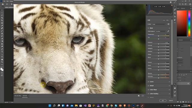Ultimate Adobe Photoshop Training - From Beginner to Pro 2022 || 1 1. Filters смотреть онлайн