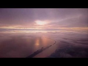 Псалом "Не потому, что выбора не было"