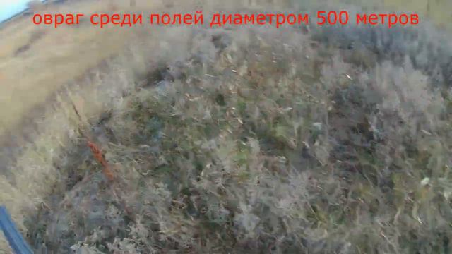 Ейск. Охота с курцхааром и местные красоты. смотреть онлайн