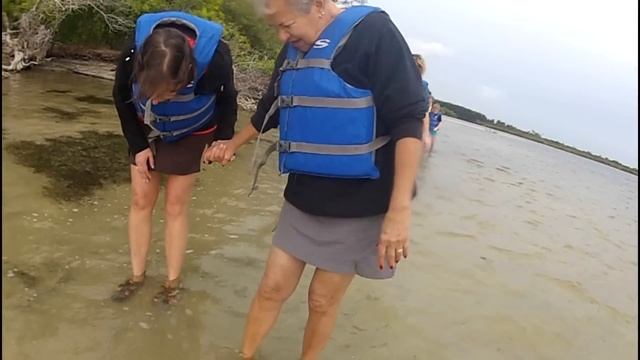 Calypso Kayaking Tours: Unforgettable kayaking tours смотреть онлайн