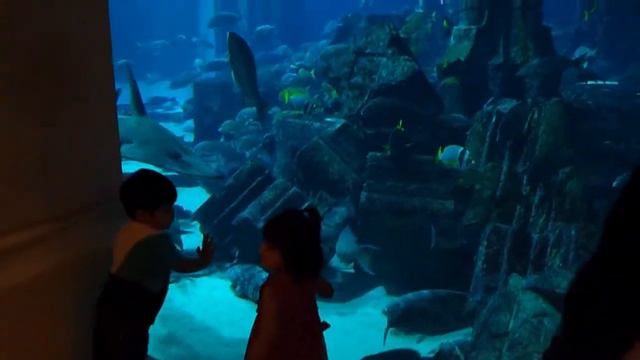 Family vacation at Atlantis, The Palm, Dubai, UAE - Oct 2012 смотреть онлайн