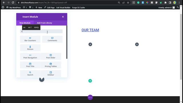 27 - Create Our Team Page - How to Build a WordPress Website with Divi (Step-By-Step) смотреть онлайн