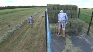 Сбор тюков лугового сена и люцерны;)