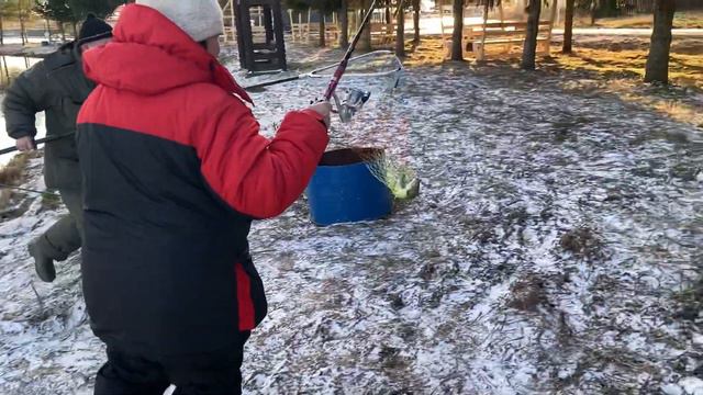 Основной - ещё один хвост в зачёте смотреть онлайн