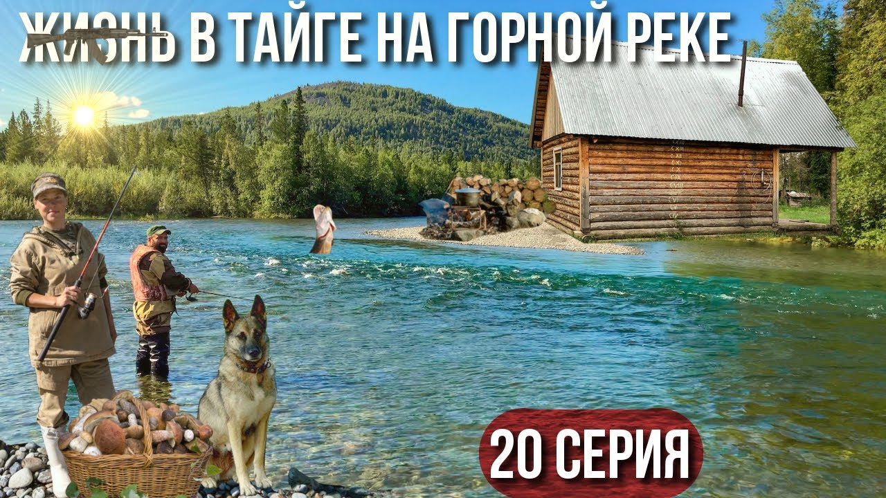Уговорил Наташу жить в тайге, изба в горах | Банный день | Сбор грибов | Щука на каждый заброс | 20ч смотреть онлайн