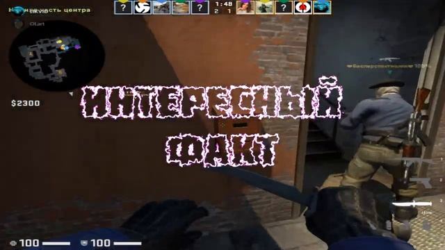 КОШКА РОДИЛА (CS GO) приколы шутки фейлы 2020 смотреть онлайн