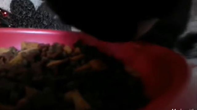 Whiskas для котят | Мнение экспертов