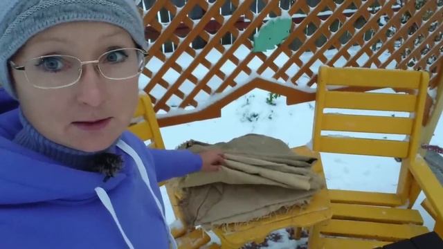 Видео привет с 6 соток 28 октября 2023 года Розы укрываю смотреть онлайн