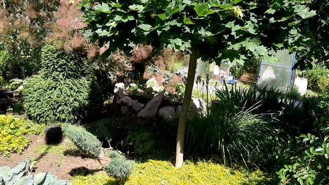 Цветение роз, аспирин, абрахам дерби, пастелла смотреть онлайн