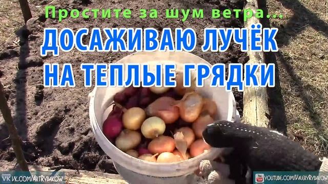 Змея. Высокая трава. Чужие. Художник в деревне смотреть онлайн
