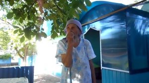 Рецепты бабушки Любы для лечения язвы желудка, гастрита, болезней поджелудочной железы и печени.