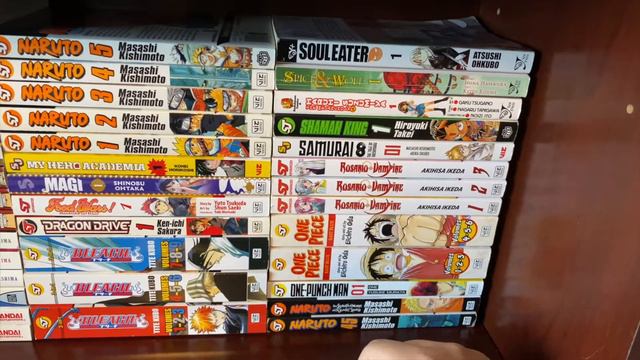 COLLECTION REFLECTIONS | 9 MONTHS INTO COLLECTING MANGA смотреть онлайн