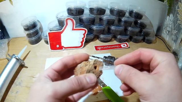 КАК СДЕЛАТЬ ПРОСТЕЙШИЙ ДИФФУЗОР СВОИМИ РУКАМИ. AQUARIUM diffuser DIY смотреть онлайн