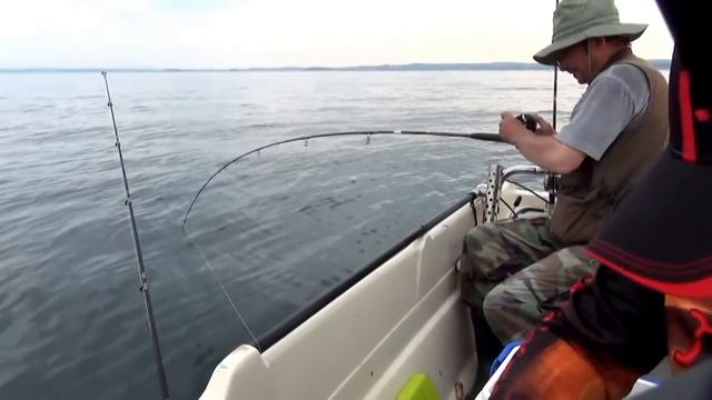 Дроп шот ( DropShot) на Балтике. Одна из лучших рыбалок в жизни. смотреть онлайн