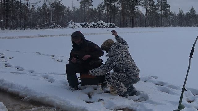 30 км по болотам за бобрами, Окуни на Глухом смотреть онлайн
