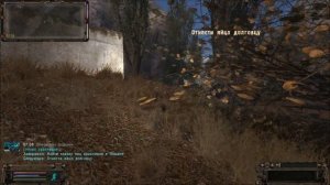 Кладка яиц арахнидов в Темной Лощине. ОП-2.1.