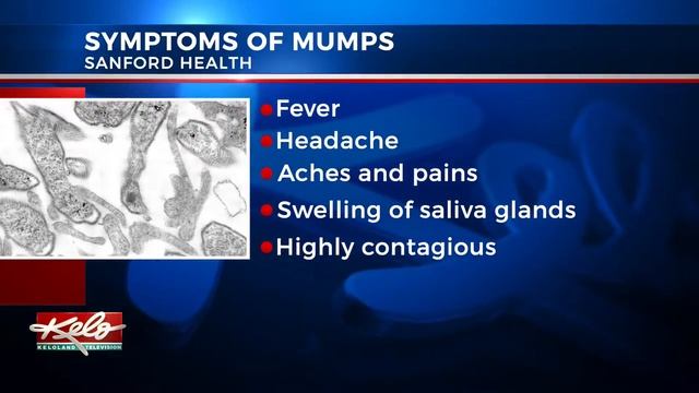 What you need to know about mumps смотреть онлайн